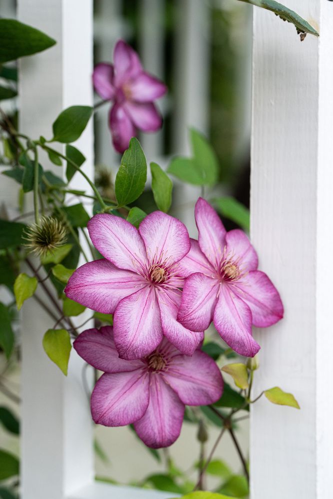 Photograph by Олеся Легостаева