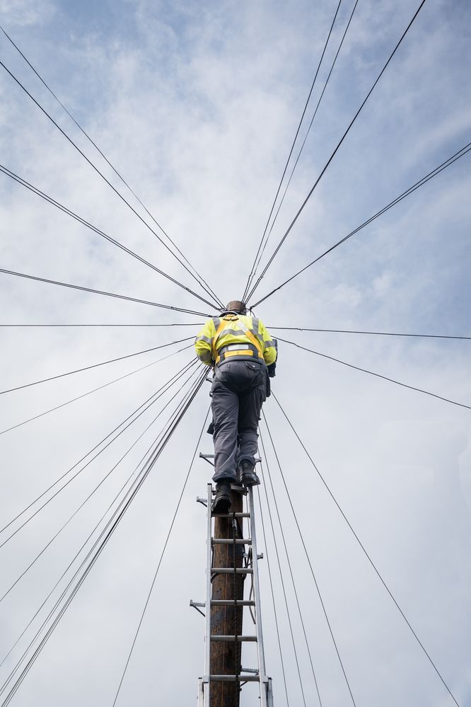 Фотография автора Erik