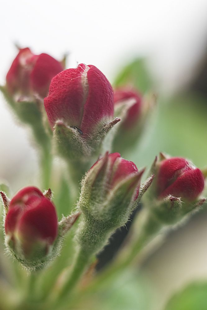 Photograph by Евгений Соколов