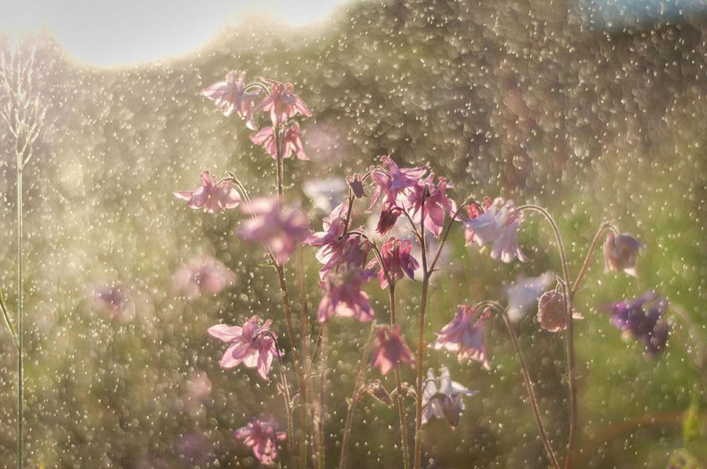 Photograph by Светлана Филипеня