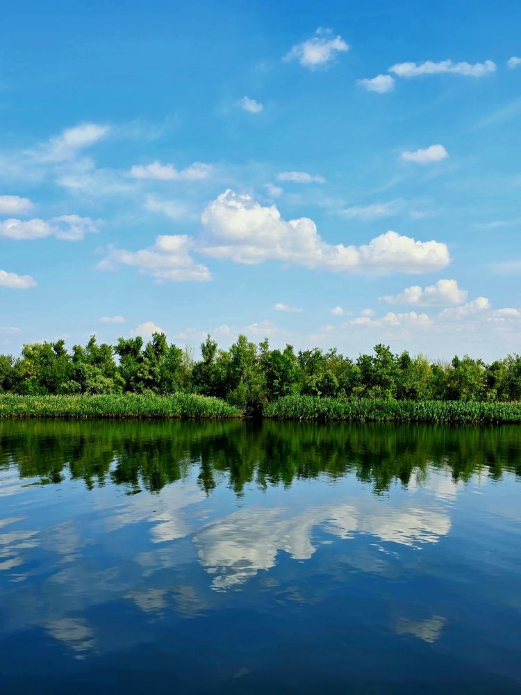 Photograph by Лидия Лащева