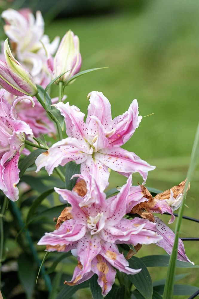 Photograph by Олеся Легостаева