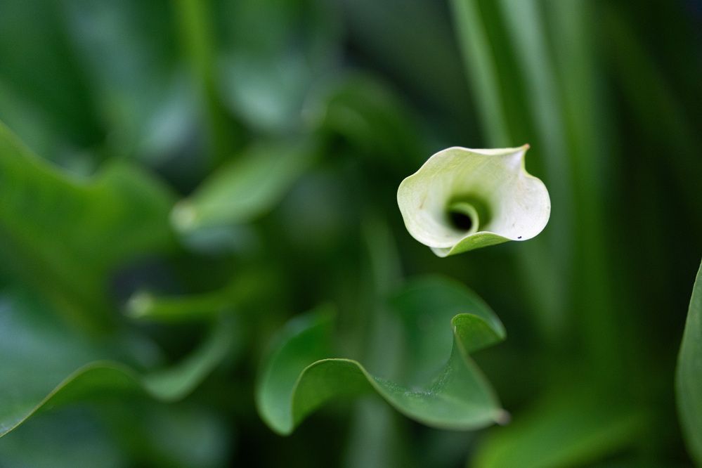 Photograph by Олеся Легостаева