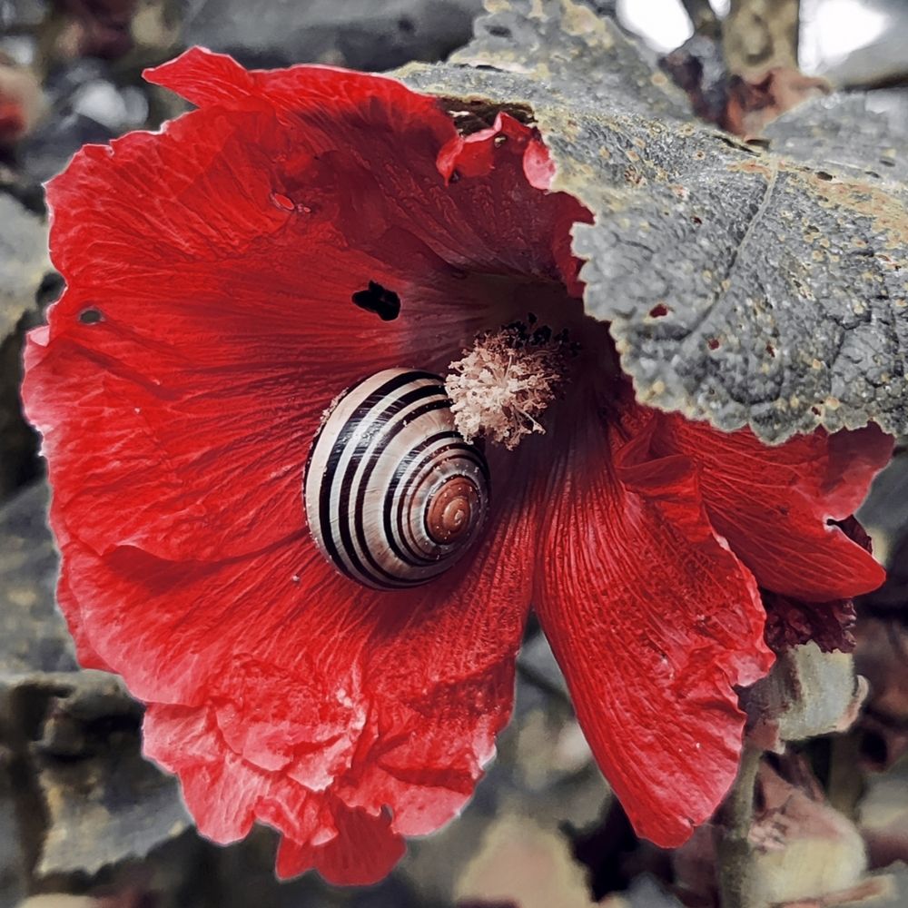 Photograph by Луценко Роман