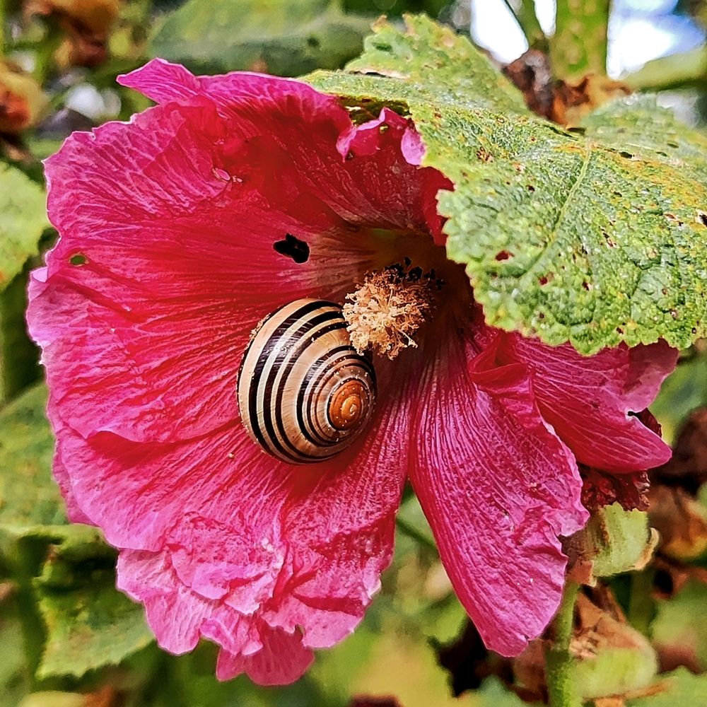 Photograph by Луценко Роман