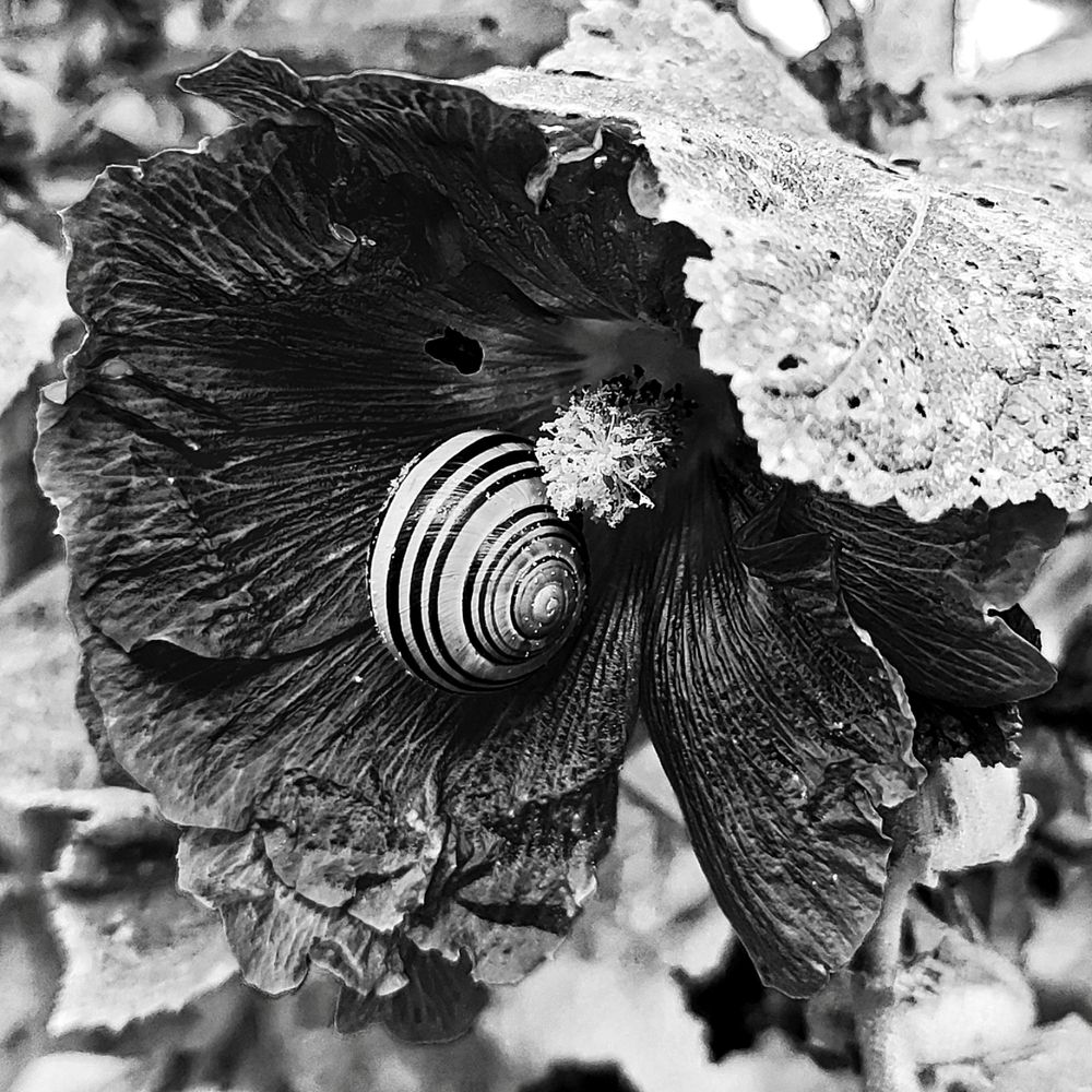 Photograph by Луценко Роман