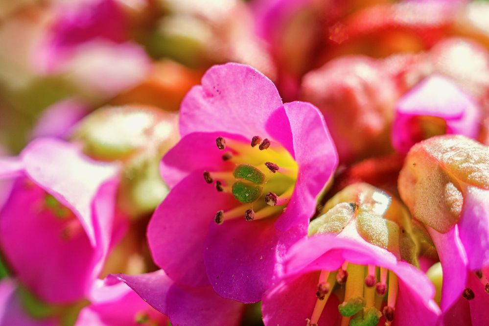 Photograph by Евгений Соколов