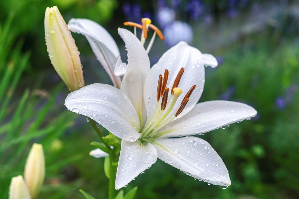 Photograph by Евгений Соколов