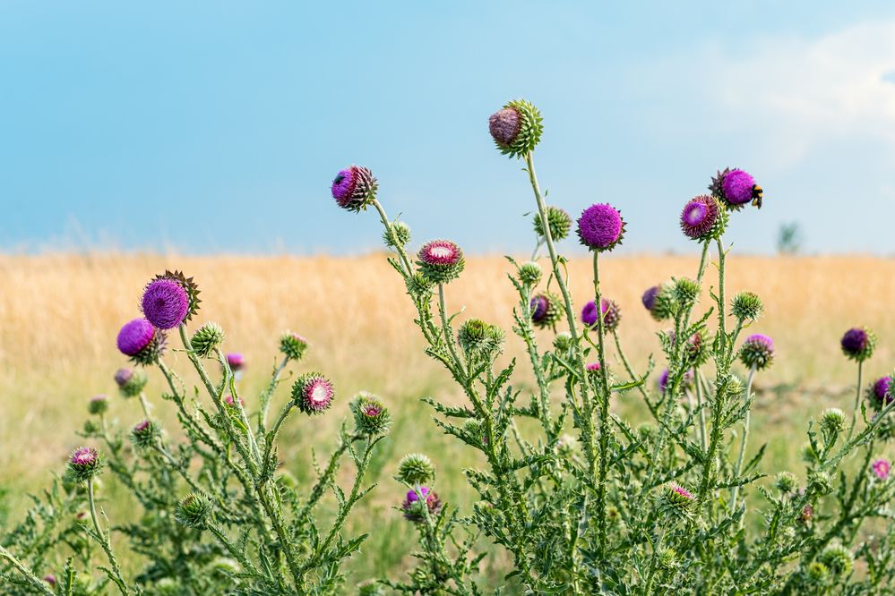 Photograph by Евгений Соколов