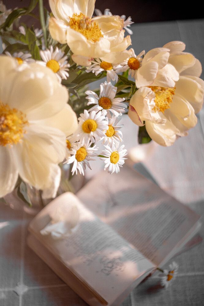 Фотография автора Рядчикова Екатерина