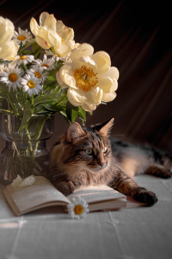 Фотография автора Рядчикова Екатерина