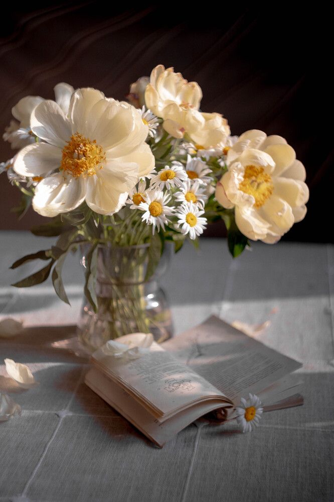 Фотография автора Рядчикова Екатерина