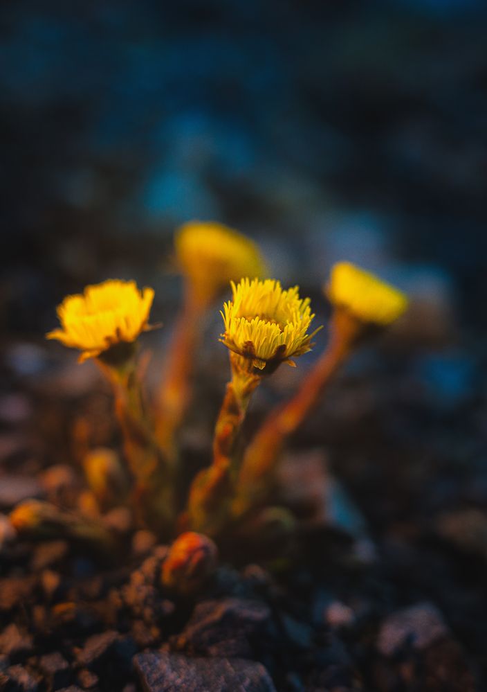 Photograph by Денис Хабибуллин