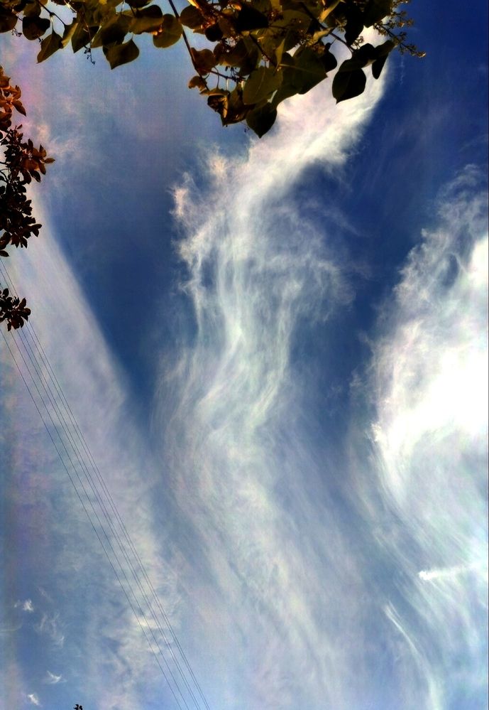 Photograph by Светлана Льдокова