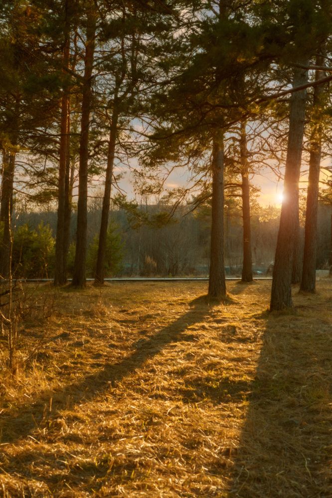 Photograph by Денис Хабибуллин