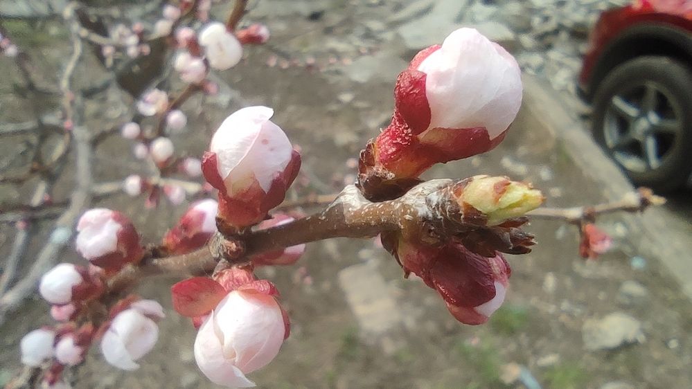 Photograph by Олеся