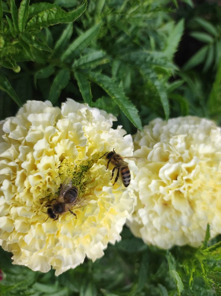 Photograph by Olga Dzemianiuk