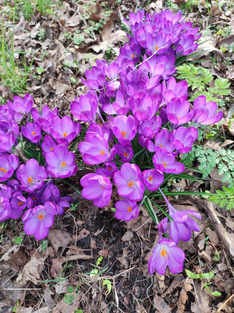 Photograph by Olga Dzemianiuk