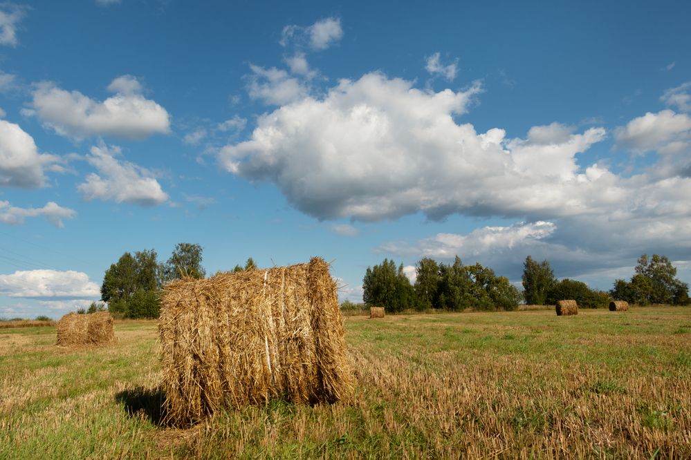 Photograph by Елена Коврижных