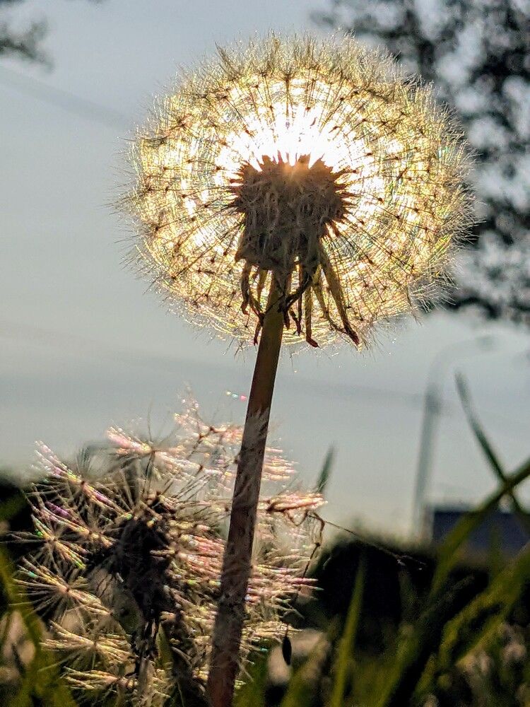 Photograph by Татьяна Вячеславовна