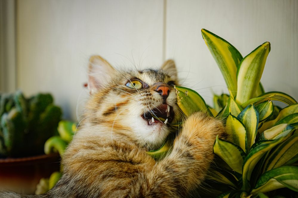 Photograph by Алексей Мякота