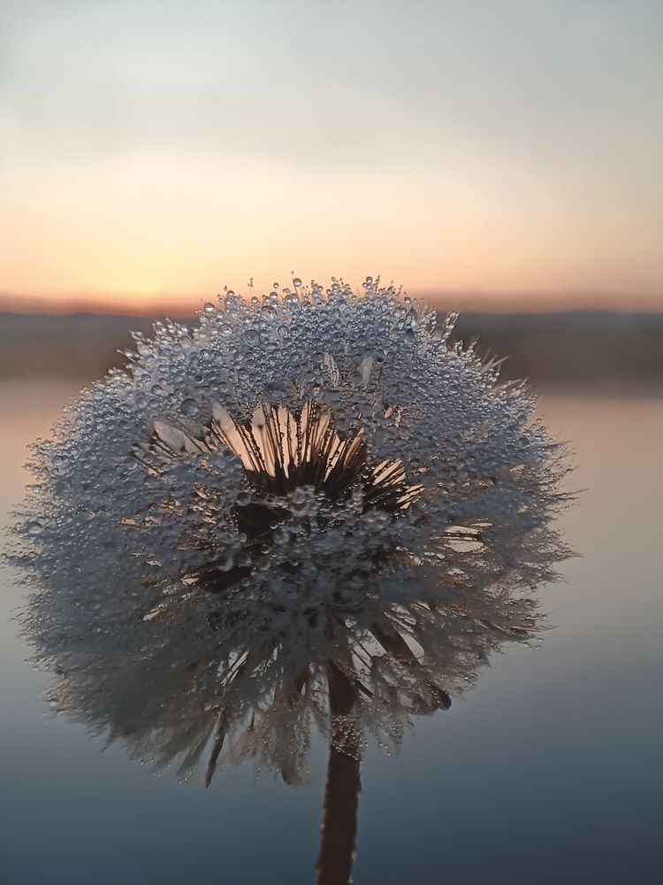 Фотография автора Ирина Романовская