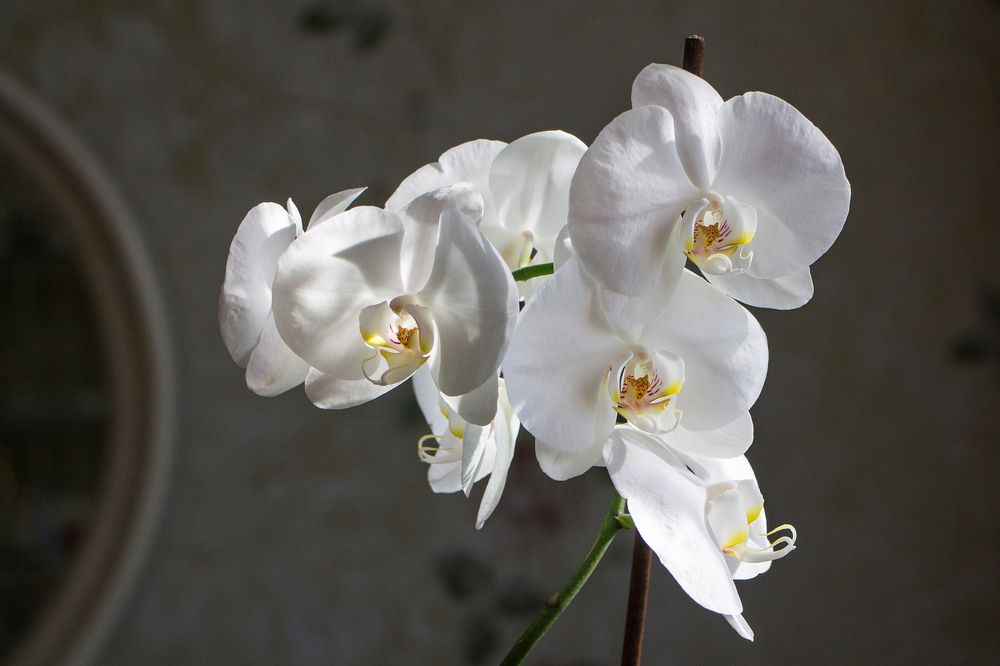 Photograph by Галина Иванцова