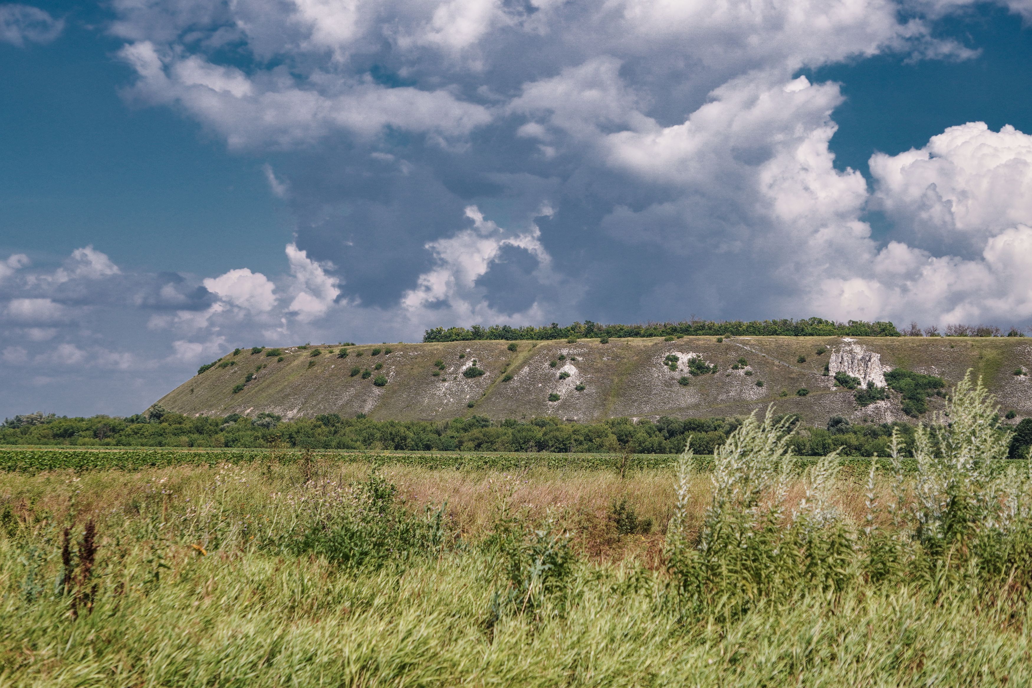 Photograph by Елена