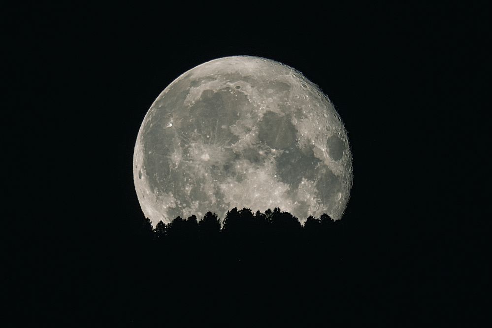 Photograph by Евгений Соколов