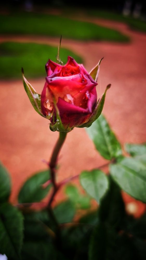 Photograph by Наталья Рау