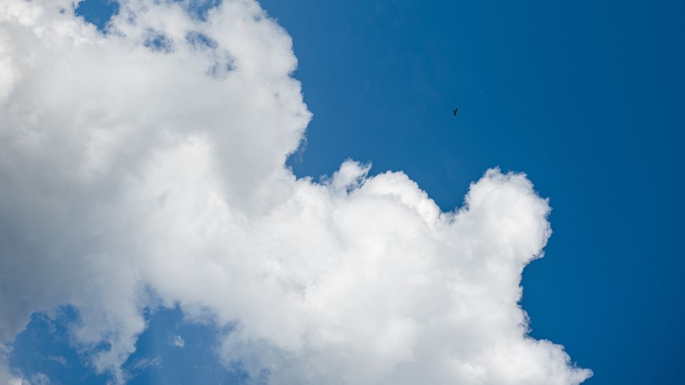 Photograph by Кирилл