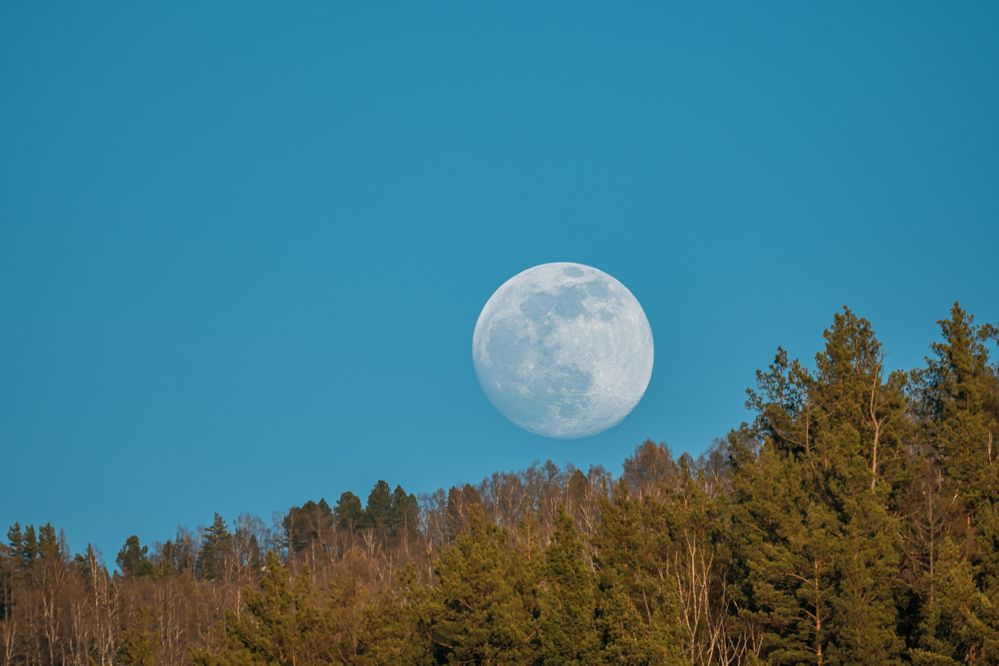 Photograph by Евгений Соколов