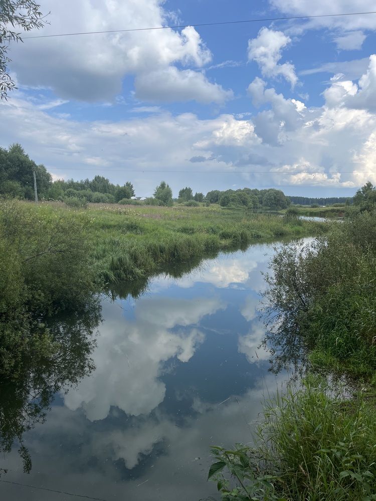 Фотография автора Виктория Ляпина