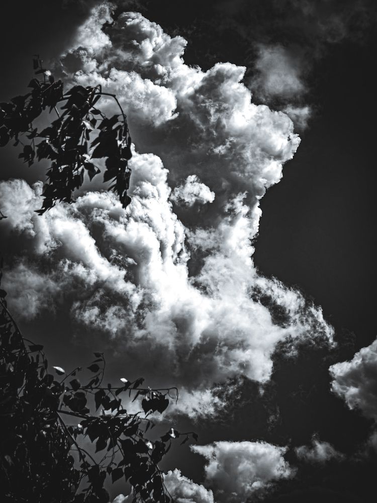 Фотография автора Евгений Былков