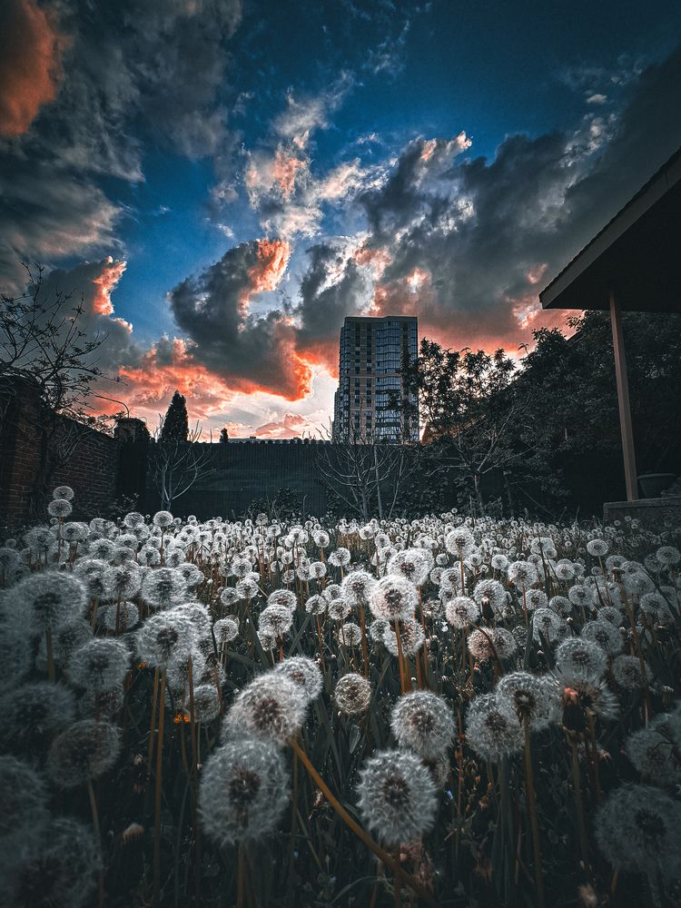 Фотография автора Евгений Былков