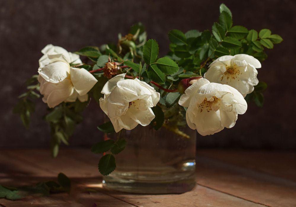 Фотография автора Оксана Льдинина