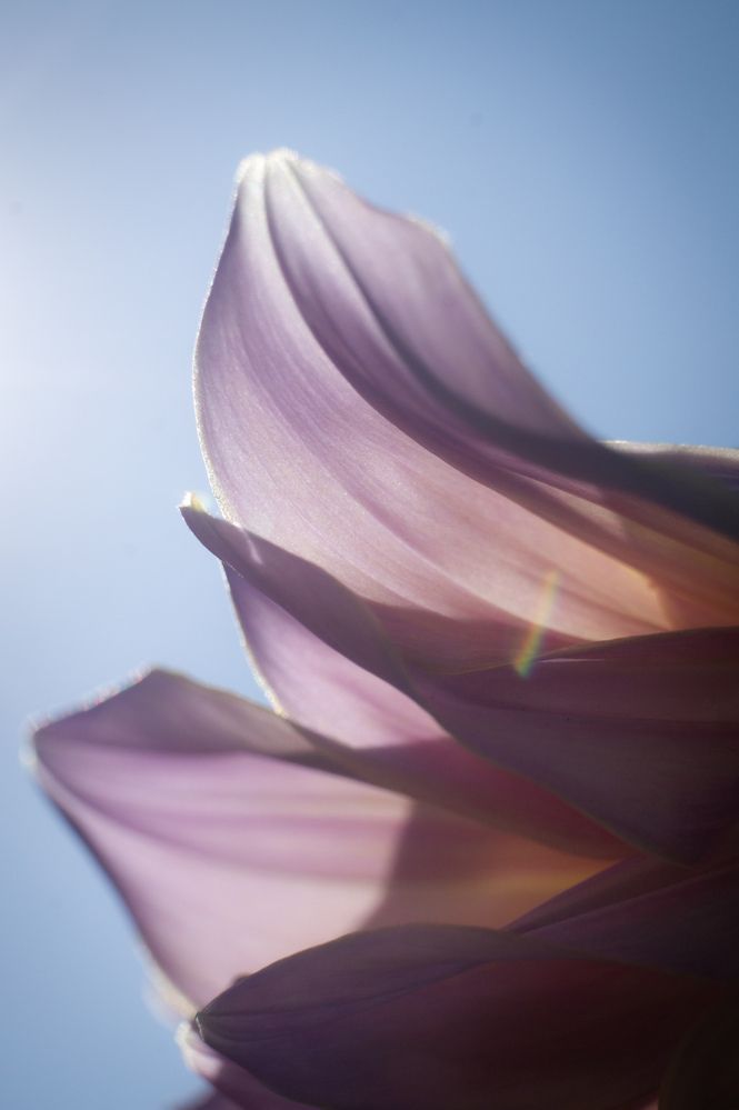 Photograph by Алексей Юдин