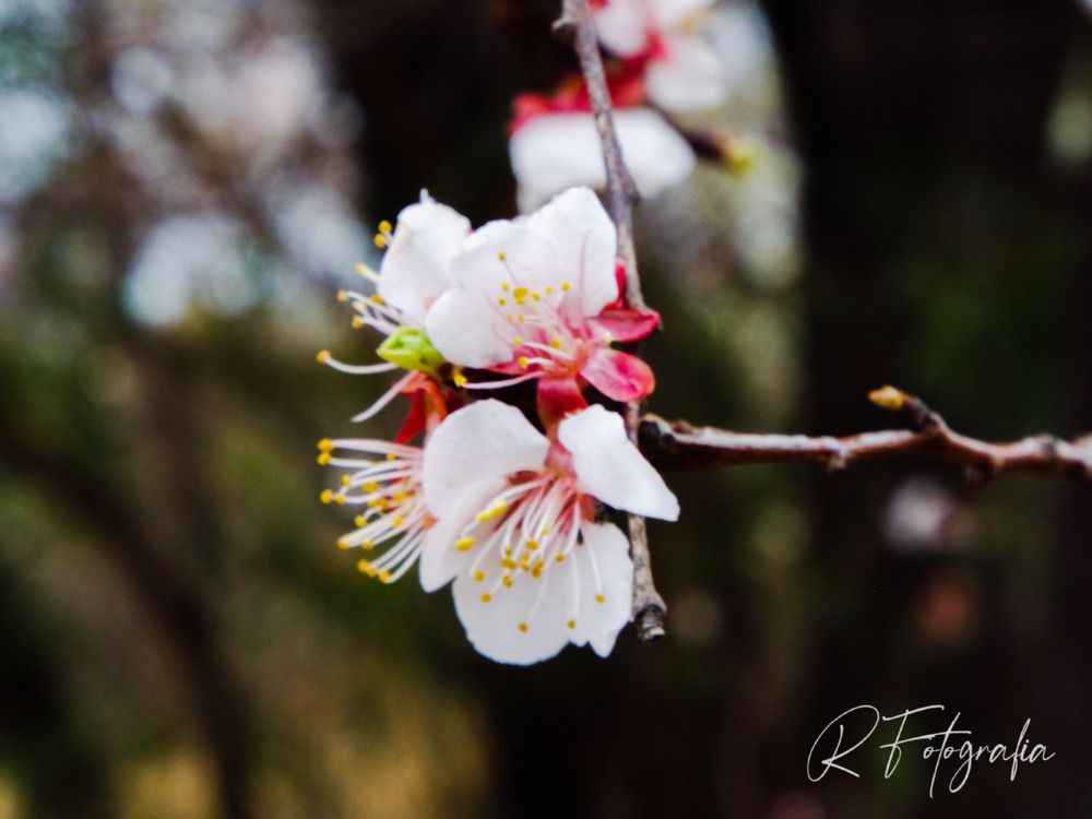 Photograph by Rita Nel