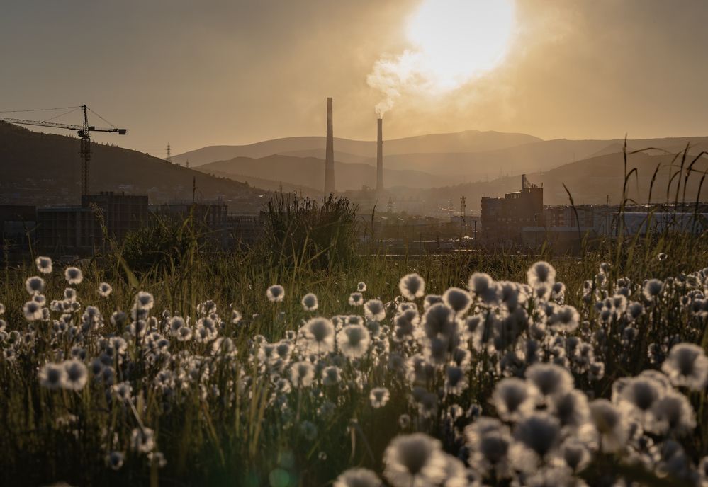 Photograph by Илья Беляев