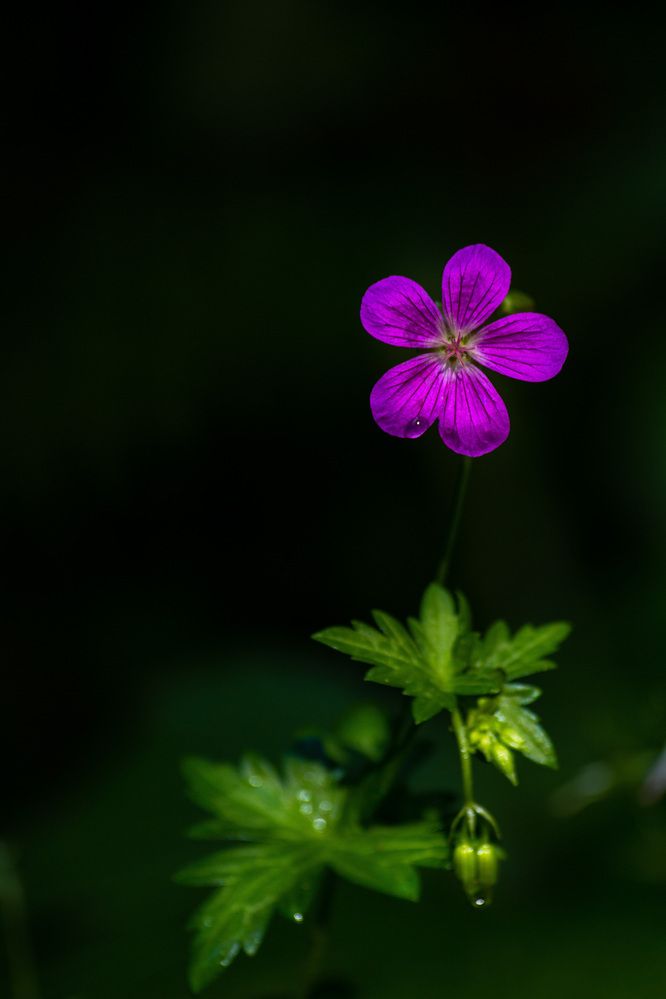 Photograph by Светлана Верзилина