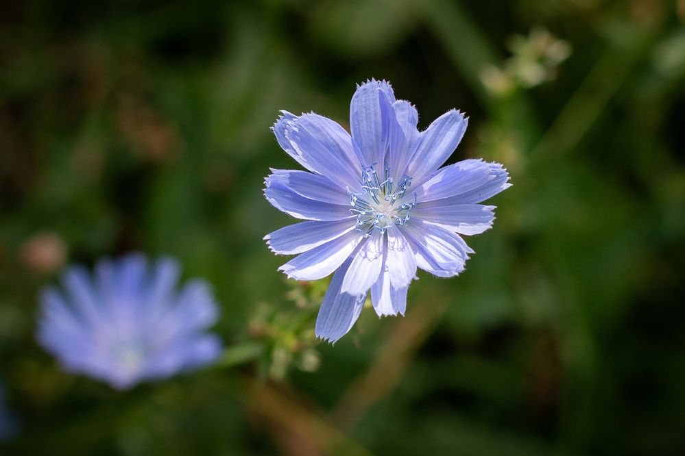 Photograph by Светлана Верзилина