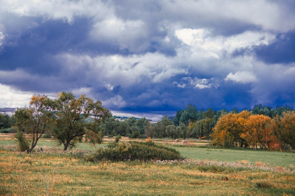 Photograph by Елена