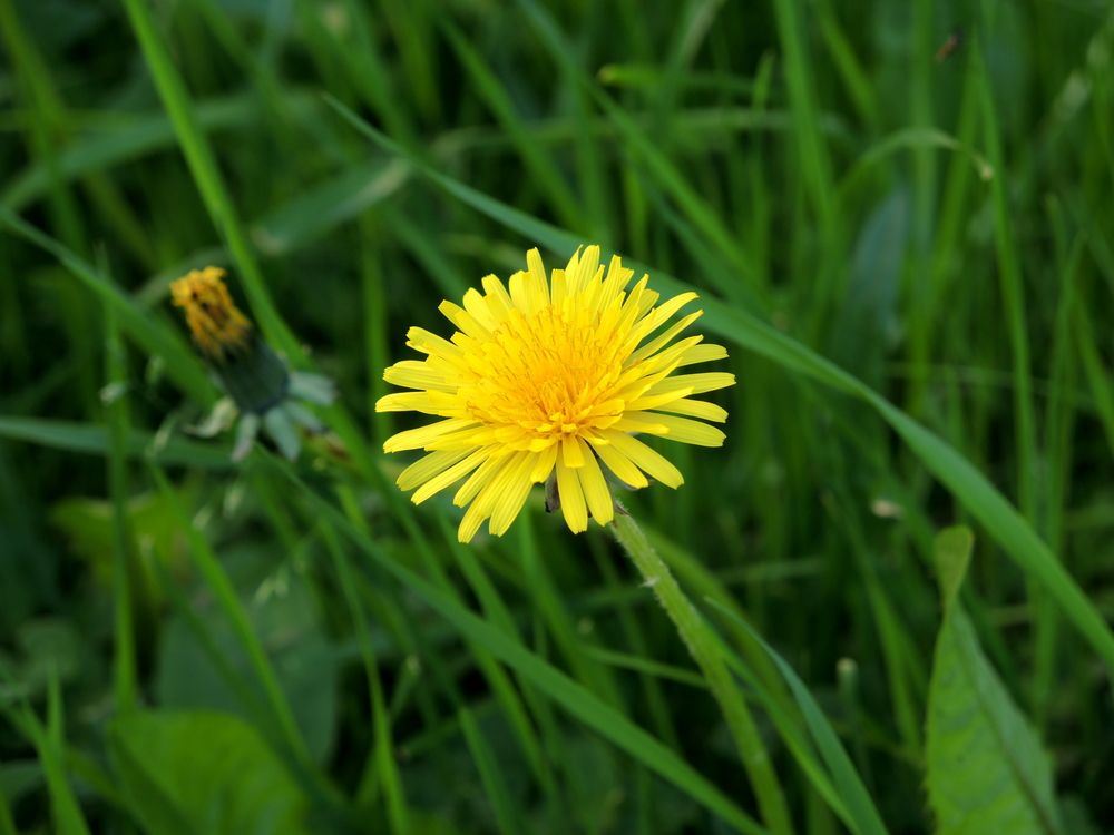 Photograph by Марина Колядина