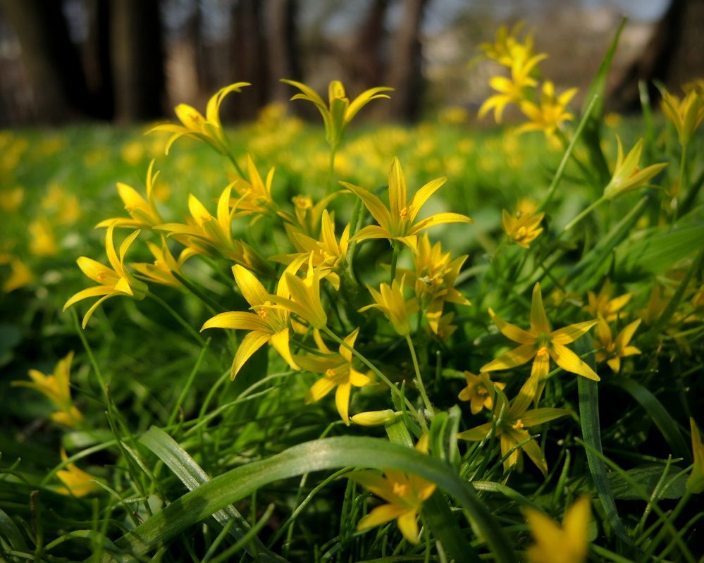 Photograph by Марина Колядина