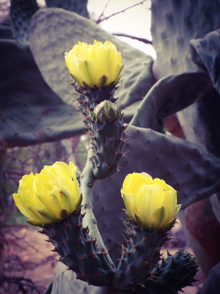 Фотография автора Rita Nel