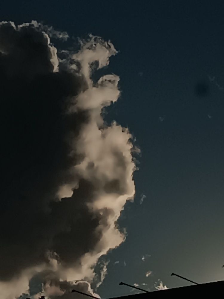 Photograph by Анна Лернер