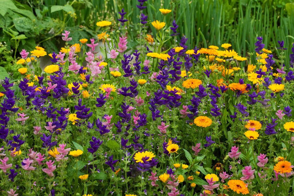 Photograph by Эдуард Шадров