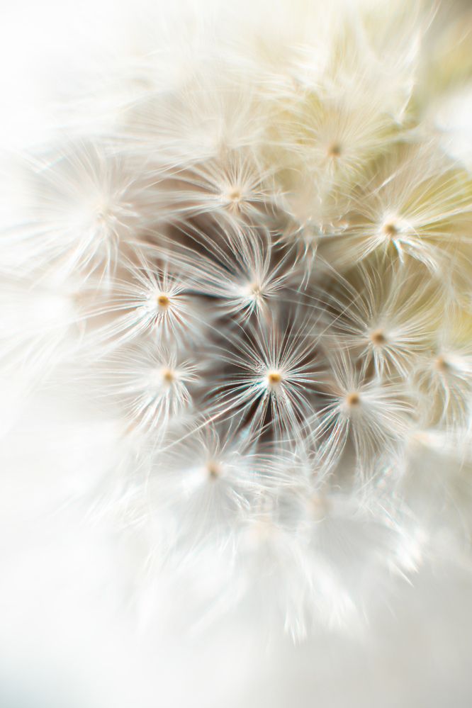 Photograph by Яна Резник