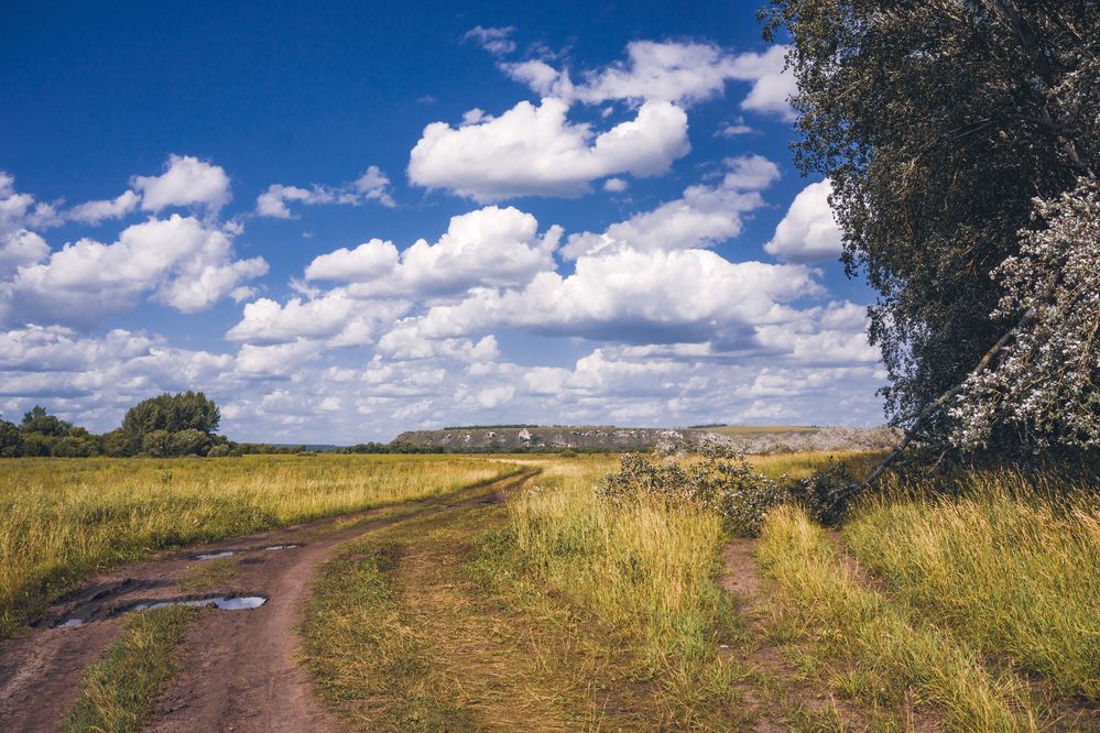 Photograph by Елена