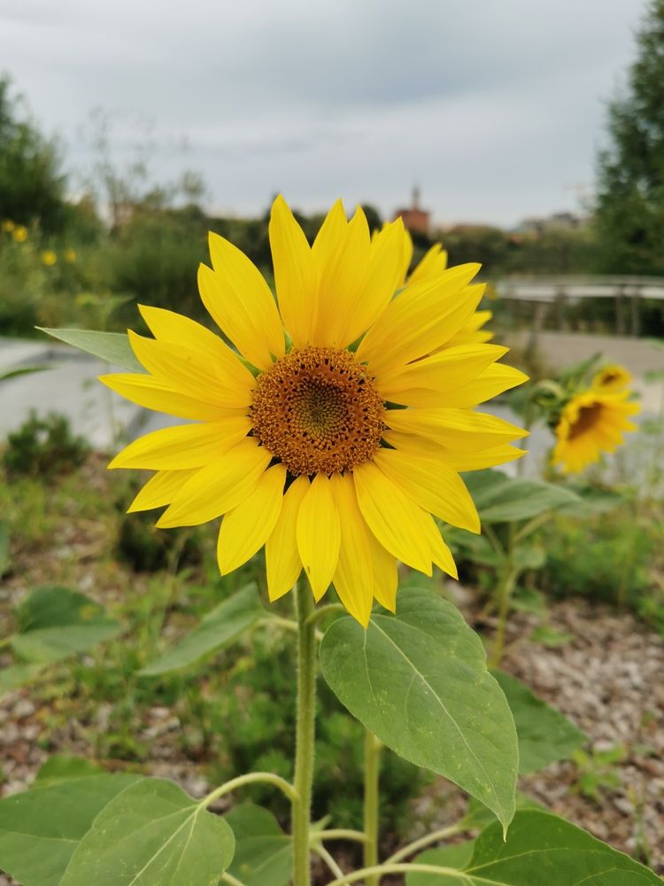 Photograph by Елена Иванова